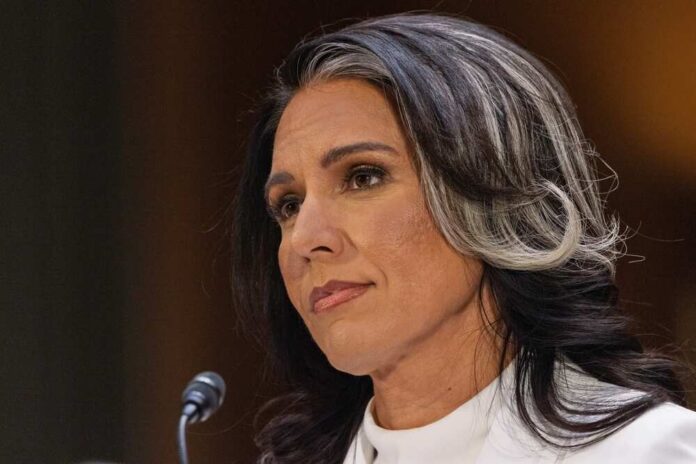 2596615693 featured image AP Retracts False Report on Tulsi Gabbard Amid Ongoing Tensions with White House