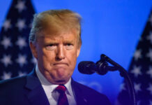 Trump's Role in Ukraine-Russia Talks: Balancing Peace and Economy?