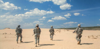 National Guard Deployment Amid Anti-ICE Riots and Wildfire Recovery Challenges