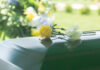Yellow and white flowers on a green casket