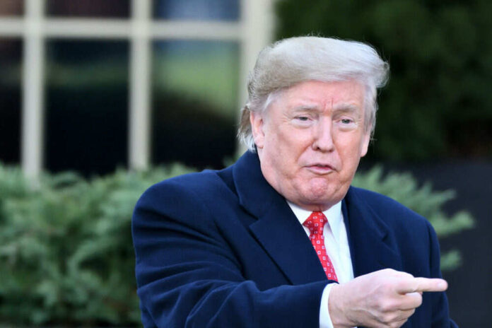 Person in suit pointing outside in garden setting