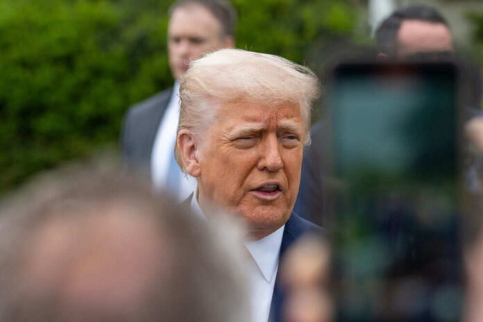 Man speaking outdoors surrounded by people and greenery