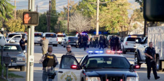 Police activity with multiple vehicles and officers present