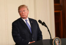 Trump's Appointees Betray Him - Court Drama Unfolds