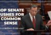 Barrasso: GOP Will Secure the Border, Restore Peace