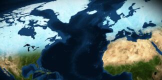 Bye Bye Humanity: The Potential AMOC Collapse