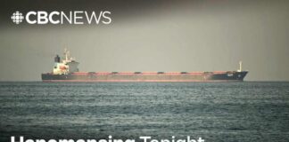 Iran reopens Strait of Hormuz, but U.S. blockade remains