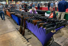 Virginia Gun Law Frenzy: Lawsuits SWARM Courts Virginia Gun Law Frenzy: Lawsuits SWARM Courts