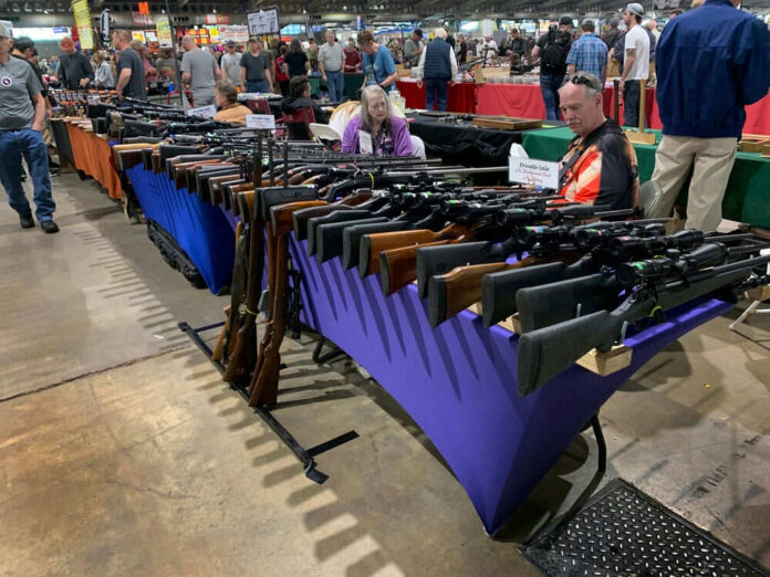 Virginia Gun Law Frenzy: Lawsuits SWARM Courts