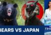 Why Is Japan Deploying 'Robot Wolves' Against Bears