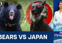 Why Is Japan Deploying 'Robot Wolves' Against Bears