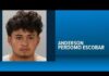19-year-old suspect charged Saturday after deadly hit-and-run Thursday