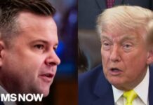 Intel War Explodes Over Trump Pick ‘DOGE the hell out of it’: Trump’s plans to gut the national intelligence office explained