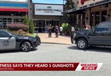 Mall Chaos Erupts — Teen Nabbed Two gunshot victims reported after shots fired at Haywood Mall, officers report