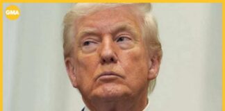 Latest on Trump IRS lawsuit