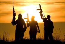 Integration Failures Fuel Deadly Networks