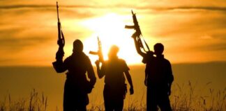 Integration Failures Fuel Deadly Networks