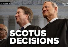 Summer decisions RELEASED: Gun law, TPS | What to know