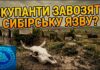 Bioterror Alarm: Russia’s Rotten Cattle Gambit Anthrax in the Kherson region? Occupiers are bringing in infected carcasses
