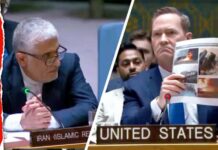 Iran Backchannel Inside NYC City Hall? Watch: Heated Exchange at UN Security Council over Iran Drone Strikes
