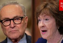 Senator’s Chilling Warning on Court Violence