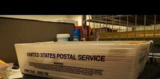 Texas mail-in voting requirements reinstated after federal appeals court ruling