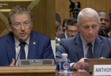 Senate committee continues voting after holding Dr. Fauci in contempt | full video