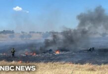 Two dead after military Apache helicopter crashes near Fort Hood in Texas