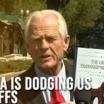 White House Trade Advisor Peter Navarro Warns Of Tariff Evasion By China | Dawn News English