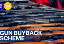 Gun buyback scheme announced for NSW | 9 News Australia