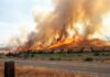 🚨 Reno Hawk Fire Forces 90,000 To Flee — Was It Arson? Nevada Declares Emergency