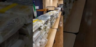 Police seize over 580 pounds of cocaine in ‘historic’ bust at Queens storage facility