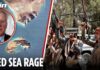 Another oil route paralysed! Iran's Houthi proxy seize Red Sea island in huge threat to shipping