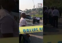 At least 11 dead after mass shooting at South African house party