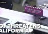 DOJ Moves To Freeze 20,000 Ballots Ballots allegedly sent to non-citizens